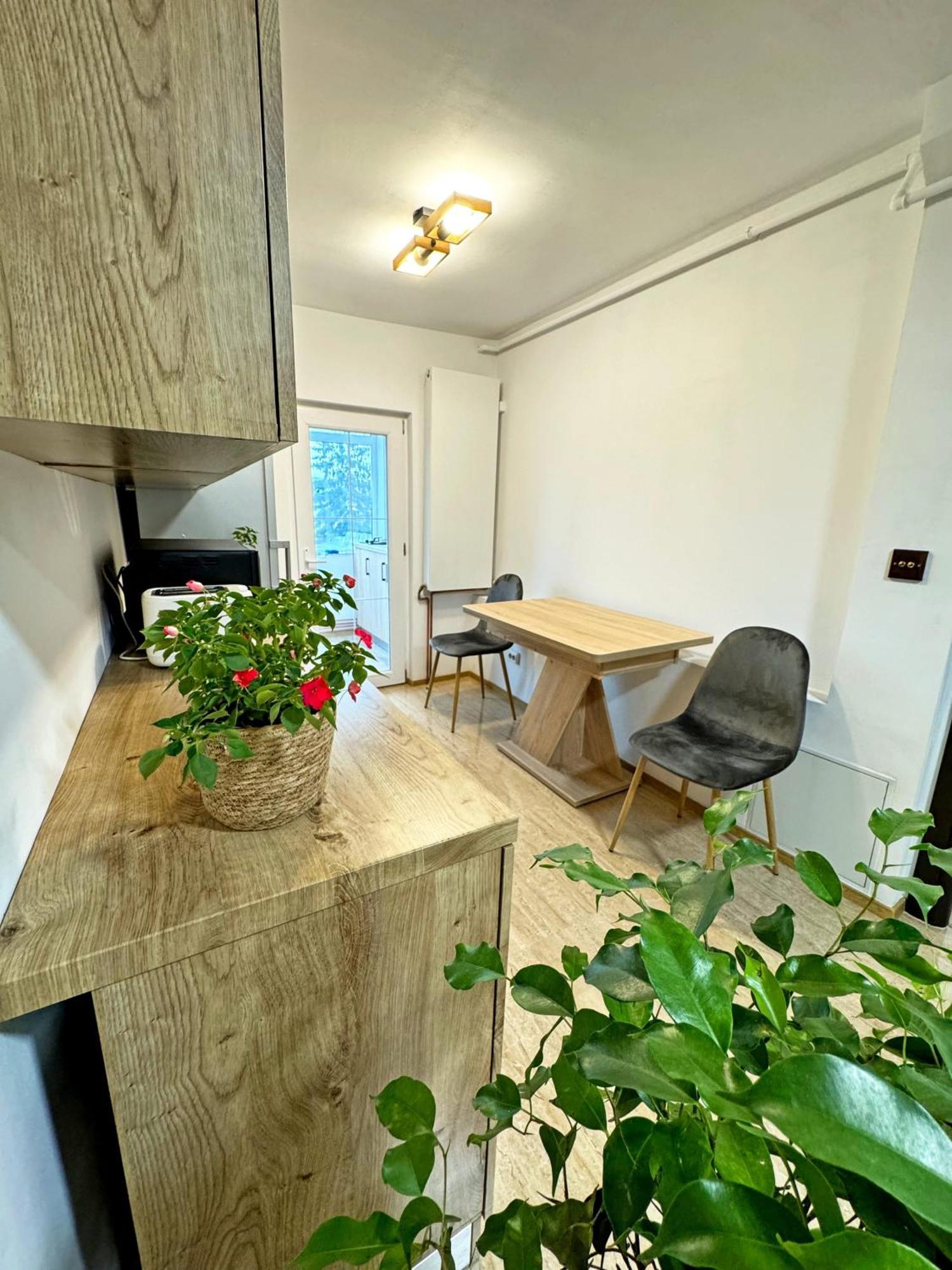 Ultracentral Apartment Târgu Jiu Dış mekan fotoğraf